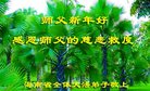 Published on 12/31/2016 ���ֹ�,��½�󷨵��ӹ�ףʦ�������(26��)