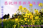 Published on 12/31/2016 ���ֹ�,��½�󷨵��ӹ�ףʦ�������(26��)