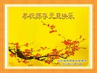 Published on 12/31/2016 ���ֹ�,��½�󷨵��ӹ�ףʦ�������(26��)