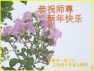 Published on 12/31/2016 ���ֹ�,��½�󷨵��ӹ�ףʦ�������(26��)