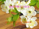 Published on 12/31/2016 ���ֹ�,��½�󷨵��ӹ�ףʦ�������(25��)