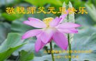 Published on 12/31/2016 ���ֹ�,��½�󷨵��ӹ�ףʦ�������(25��)