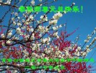 Published on 12/31/2016 ���ֹ�,��½�󷨵��ӹ�ףʦ�������(25��)