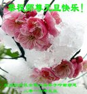 Published on 12/31/2016 ���ֹ�,��½�󷨵��ӹ�ףʦ�������(25��)