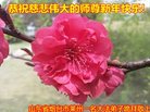Published on 12/31/2016 ���ֹ�,��½�󷨵��ӹ�ףʦ�������(34��)