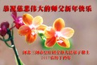 Published on 1/1/2017 ���ֹ�,��½�󷨵��ӹ�ףʦ�������(30��)