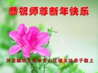 Published on 1/1/2017 ���ֹ�,��½�󷨵��ӹ�ףʦ�������(30��)
