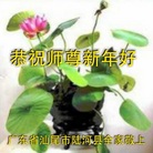 Published on 1/1/2017 ���ֹ�,��½�󷨵��ӹ�ףʦ�������(30��)