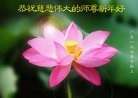 Published on 1/2/2017 ���ֹ�,��½�󷨵��ӹ�ףʦ�������(17��)