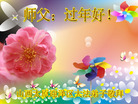 Published on 1/25/2017 ���ֹ�,��½�󷨵��ӹ�ףʦ�������(29��)