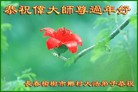 Published on 1/27/2017 ���ֹ�,���󷨵��ӹ�ףʦ�������(24��)