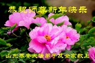 Published on 1/25/2017 ���ֹ�,��½�󷨵��ӹ�ףʦ�������(28��)