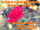 ֹ,󷨵ӹףʦ(18)