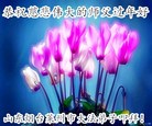 Published on 1/25/2017 ���ֹ�,��½�󷨵��ӹ�ףʦ�������(26��)