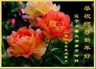 ֹ,ݴ󷨵ӹףʦ(24)