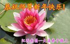 ֹ,󷨵ӹףʦ(20)