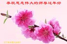 ֹ,Ϫ󷨵ӹףʦ(24)