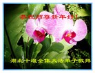 Published on 1/25/2017 ���ֹ�,��½�󷨵��ӹ�ףʦ�������(29��)
