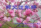 ֹ,󷨵ӹףʦ(20)