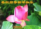 Published on 1/25/2017 ���ֹ�,��½�󷨵��ӹ�ףʦ�������(33��)