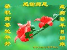 Published on 1/25/2017 ���ֹ�,��½�󷨵��ӹ�ףʦ�������(33��)