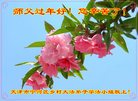 Published on 1/27/2017 ���ֹ�,���󷨵��ӹ�ףʦ�������(21��)