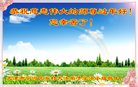Published on 1/27/2017 ���ֹ�,���󷨵��ӹ�ףʦ�������(21��)