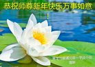 Published on 1/25/2017 ���ֹ�,��½�󷨵��ӹ�ףʦ�������(34��)