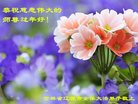 Published on 1/25/2017 ���ֹ�,��½�󷨵��ӹ�ףʦ�������(36��)