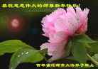 Published on 1/25/2017 ���ֹ�,��½�󷨵��ӹ�ףʦ�������(36��)