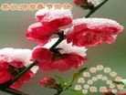 ֹ,󷨵ӹףʦ(17)