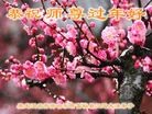 ֹ,󷨵ӹףʦ(17)