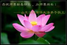 Published on 1/25/2017 ���ֹ�,��½�󷨵��ӹ�ףʦ�������(28��)