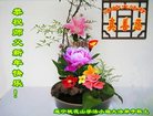 Published on 1/25/2017 ���ֹ�,��½�󷨵��ӹ�ףʦ�������