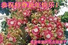 Published on 1/25/2017 ���ֹ�,��½�󷨵��ӹ�ףʦ�������(28��)