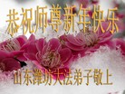 Published on 1/25/2017 ���ֹ�,��½�󷨵��ӹ�ףʦ�������(29��)