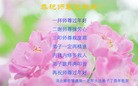 ֹ,ȷ󷨵ӹףʦ(28)