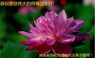 ֹ,ϴ󷨵ӹףʦ(23)
