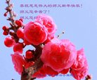 Published on 1/25/2017 ���ֹ�,��½�󷨵��ӹ�ףʦ�������(40��)