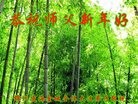 ֹ,ݴ󷨵ӹףʦ(24)