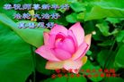Published on 1/25/2017 ���ֹ�,��½�󷨵��ӹ�ףʦ�������(33��)