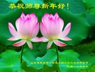 Published on 1/25/2017 ���ֹ�,��½�󷨵��ӹ�ףʦ�������(30��)
