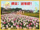 ֹ,Ĵ󷨵ӹףʦ(21)
