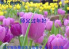 Published on 1/25/2017 ���ֹ�,��½�󷨵��ӹ�ףʦ�������(25��)