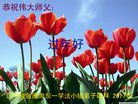 Published on 1/25/2017 ���ֹ�,��½�󷨵��ӹ�ףʦ�������(25��)