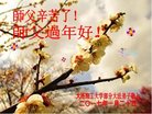 Published on 1/25/2017 ���ֹ�,����ϵͳ�󷨵��ӹ�ףʦ�������(20��)