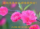 Published on 1/25/2017 ���ֹ�,��½�󷨵��ӹ�ףʦ�������(25��)