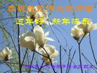 ֹ,󷨵ӹףʦ(22)