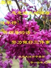 ֹ,󷨵ӹףʦ(23)