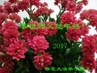 ֹ,󷨵ӹףʦ(22)